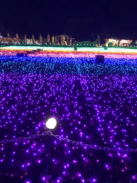 東武動物公園に投稿された画像（2022/1/1）