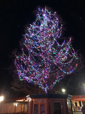 東武動物公園に投稿された画像（2022/1/1）