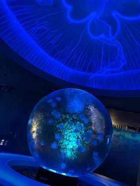 新江ノ島水族館に投稿された画像（2022/1/1）