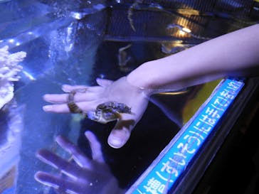 ゼロ距離水族館 伊勢シーパラダイスに投稿された画像（2022/1/1）