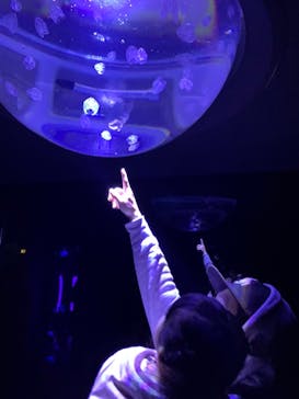 サンシャイン水族館に投稿された画像（2022/1/1）