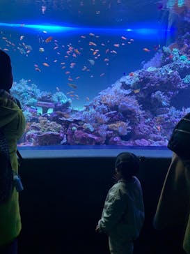 サンシャイン水族館に投稿された画像（2022/1/1）