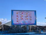 名古屋港水族館に投稿された画像（2022/1/1）