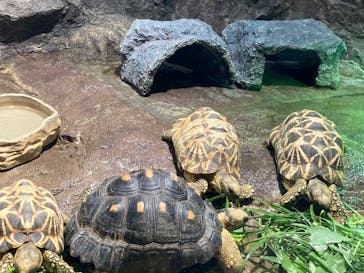 サンシャイン水族館に投稿された画像（2022/1/1）