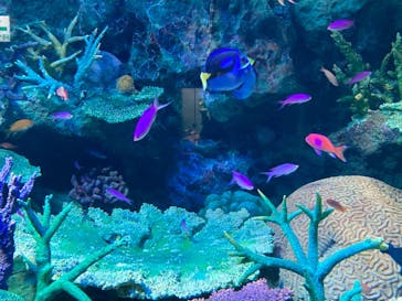 サンシャイン水族館に投稿された画像（2022/1/1）