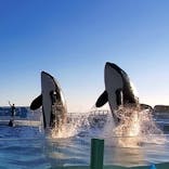 鴨川シーワールドに投稿された画像（2022/1/1）