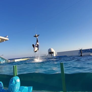 鴨川シーワールドに投稿された画像（2022/1/1）