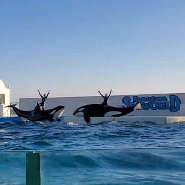 鴨川シーワールドに投稿された画像（2022/1/1）