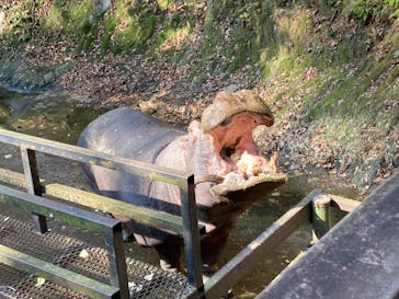 長崎バイオパークに投稿された画像（2022/1/1）