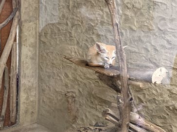 長崎バイオパークに投稿された画像（2022/1/1）