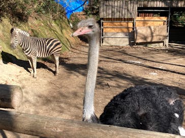 長崎バイオパークに投稿された画像（2022/1/1）