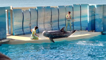 新江ノ島水族館に投稿された画像（2022/1/1）