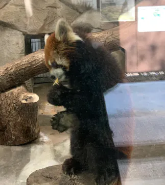 天王寺動物園に投稿された画像（2022/1/1）