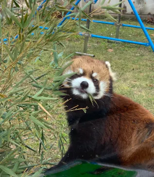 天王寺動物園に投稿された画像（2022/1/1）