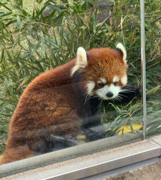 天王寺動物園に投稿された画像（2022/1/1）