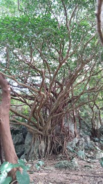 アスムイハイクスに投稿された画像（2022/1/1）