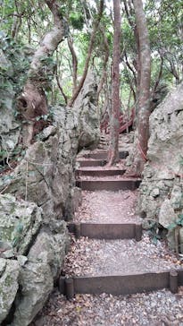 アスムイハイクスに投稿された画像（2022/1/1）