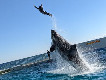鴨川シーワールドに投稿された画像（2022/1/1）