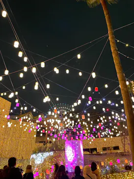 ひらかたパークに投稿された画像（2022/1/1）