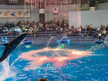 マクセル アクアパーク品川に投稿された画像（2022/1/1）