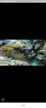 DIVING-SHOP SUNSに投稿された画像（2022/1/1）