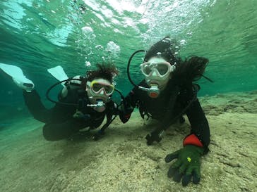 DIVING-SHOP SUNSに投稿された画像（2022/1/1）