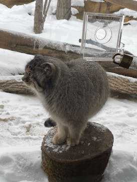 那須どうぶつ王国に投稿された画像（2022/1/1）