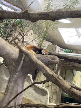 那須どうぶつ王国に投稿された画像（2022/1/1）