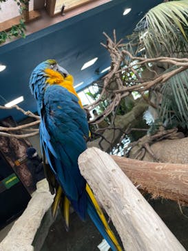 那須どうぶつ王国に投稿された画像（2022/1/1）