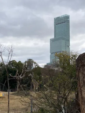 天王寺動物園に投稿された画像（2022/1/1）