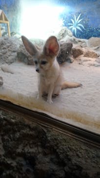 伊豆シャボテン動物公園に投稿された画像（2022/1/1）