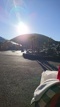 伊豆シャボテン動物公園に投稿された画像（2022/1/1）