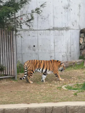 天王寺動物園に投稿された画像（2022/1/1）