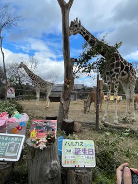 天王寺動物園に投稿された画像（2022/1/1）