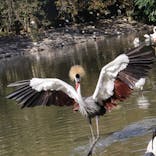 ネオパークオキナワに投稿された画像（2022/1/1）