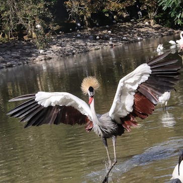 ネオパークオキナワに投稿された画像（2022/1/1）