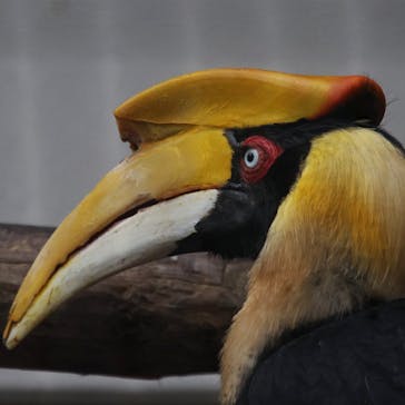 ネオパークオキナワに投稿された画像（2022/1/1）