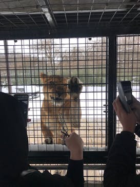 那須サファリパークに投稿された画像（2022/1/1）