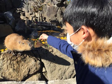 伊豆シャボテン動物公園に投稿された画像（2022/1/1）