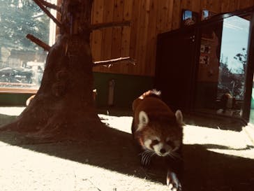 伊豆シャボテン動物公園に投稿された画像（2022/1/1）