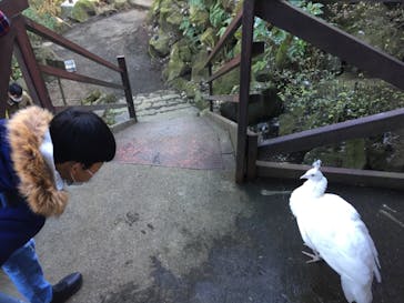 伊豆シャボテン動物公園に投稿された画像（2022/1/1）