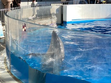 九十九島水族館海きららに投稿された画像（2022/1/1）