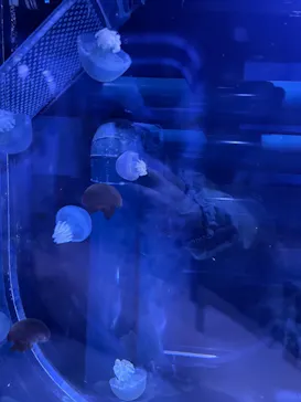 すみだ水族館に投稿された画像（2022/1/1）