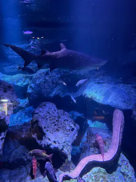 すみだ水族館に投稿された画像（2022/1/1）