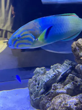 すみだ水族館に投稿された画像（2022/1/1）