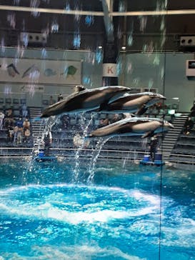 マクセル アクアパーク品川に投稿された画像（2022/1/1）