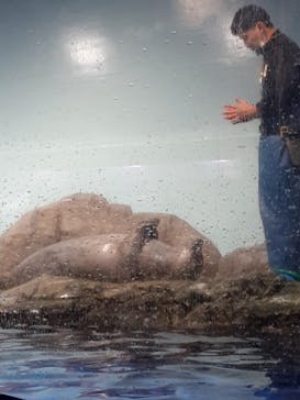 マクセル アクアパーク品川に投稿された画像（2022/1/1）