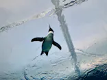サンシャイン水族館に投稿された画像（2022/1/1）