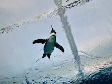 サンシャイン水族館に投稿された画像（2022/1/1）