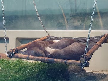 サンシャイン水族館に投稿された画像（2022/1/1）